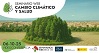 Icono Cambio climático y salud