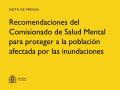 08/11/2024 - Recomendaciones del Comisionado de Salud Mental para proteger a la población afectada por las inundaciones