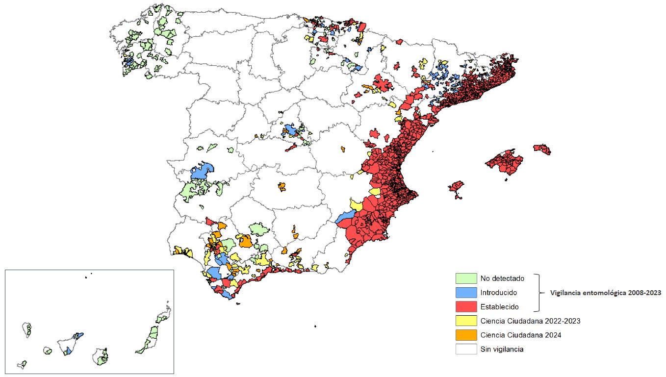 Mapa Aedes albopictus: vigilancia entomológica 2008-2023 y ciencia ciudadana 2022-2024