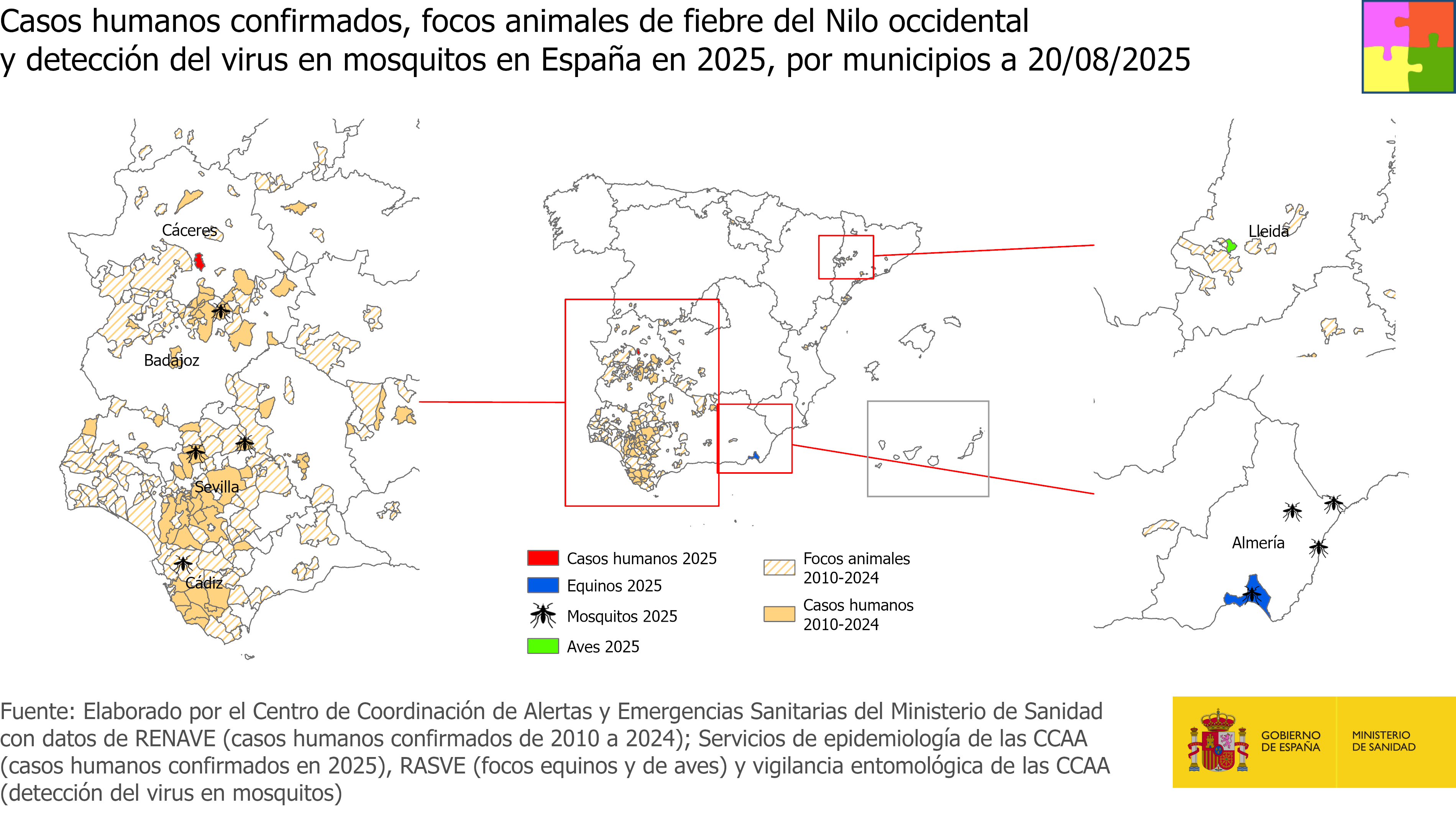 Casos humanos confirmados y focos animales en España en la temporada 2025